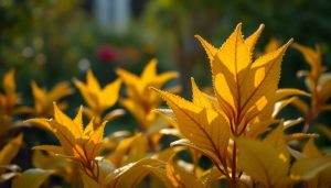 Ce feuillage qui jaunit en juin : le secret que 90% des jardiniers ne connaissent pas Ce feuillage qui jaunit en juin : le secret que 90% des jardiniers ne connaissent pas